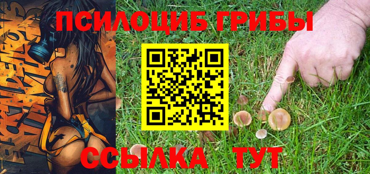 Галлюциногенные грибы Psilocybine cubensis  Псилоцибиновые грибы Psilocybe  Вход с VPN  Холмск 