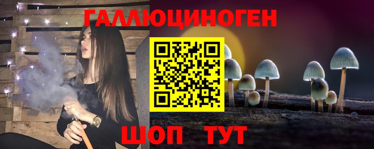 Псилоцибиновые грибы Psilocybine cubensis Холмск